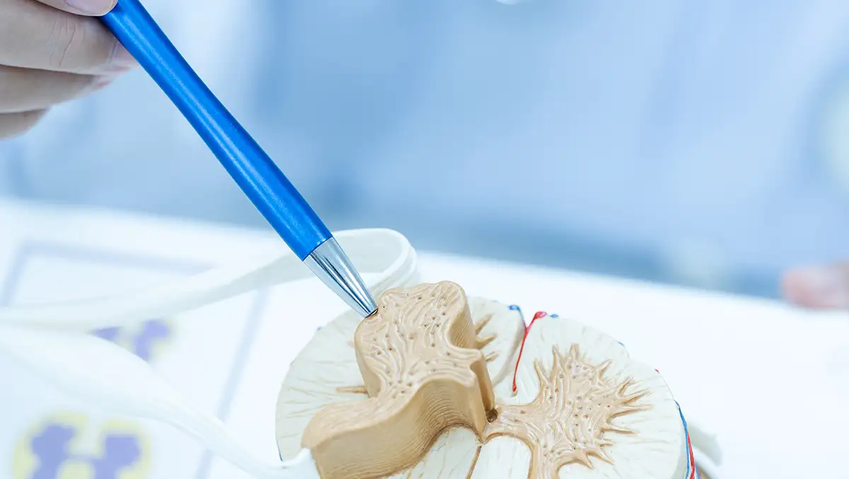 Facet denervation lumbar cervical